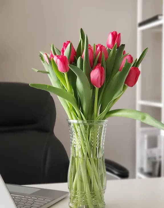 Office Flower Subscriptions